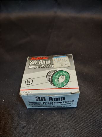 True Value 30 Amp Tamper Proof Plug Fuses