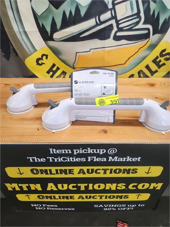 391 - Glacier Bay 2pk 16in Suction Cup Grab Bars